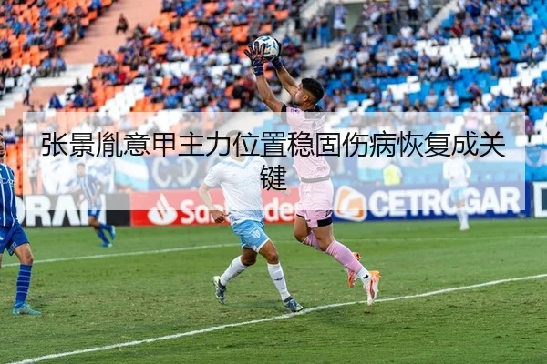 张景胤意甲主力位置稳固伤病恢复成关键